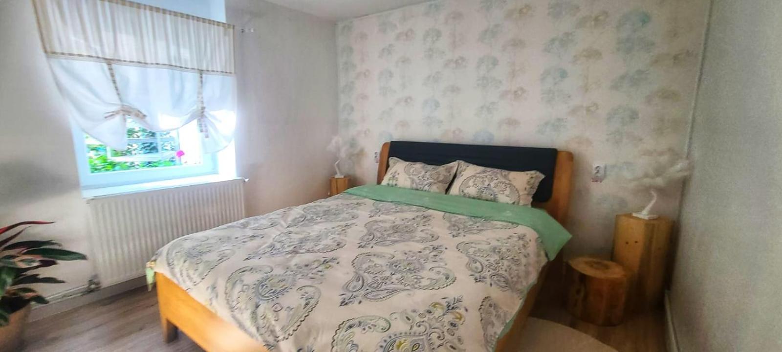 קלוז'-נאפוקה Anna'S Guesthouse מראה חיצוני תמונה