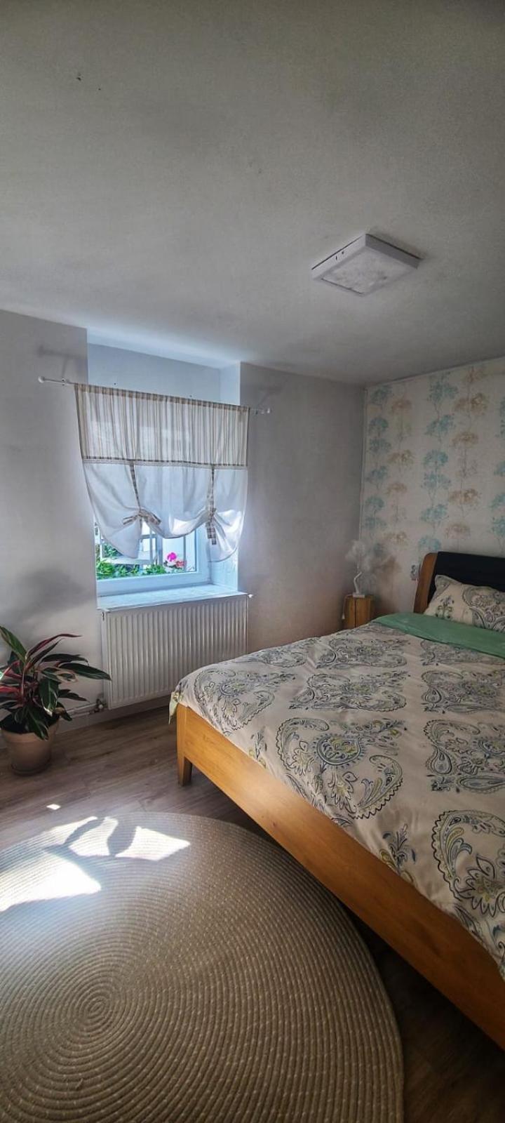 קלוז'-נאפוקה Anna'S Guesthouse מראה חיצוני תמונה