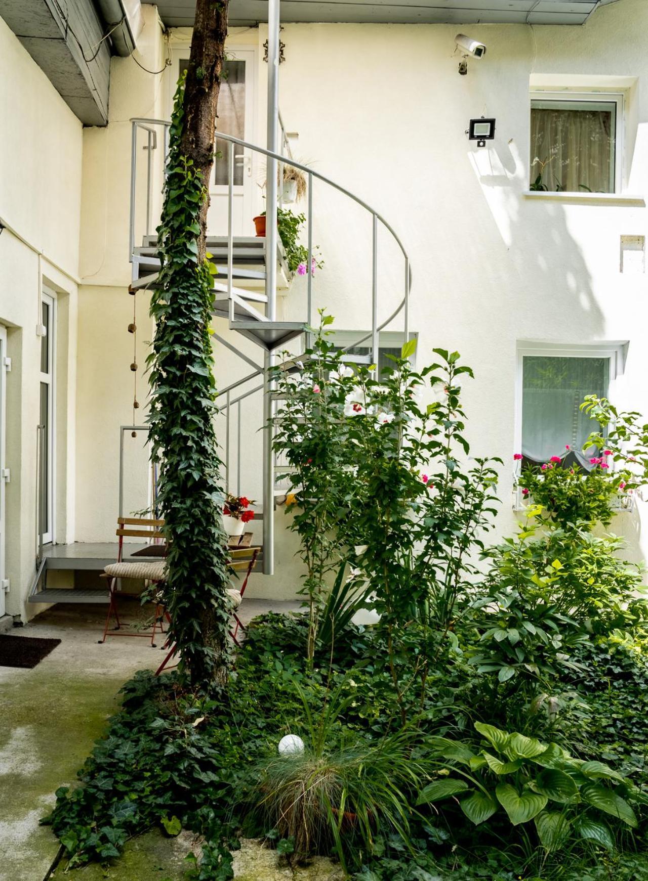 קלוז'-נאפוקה Anna'S Guesthouse מראה חיצוני תמונה
