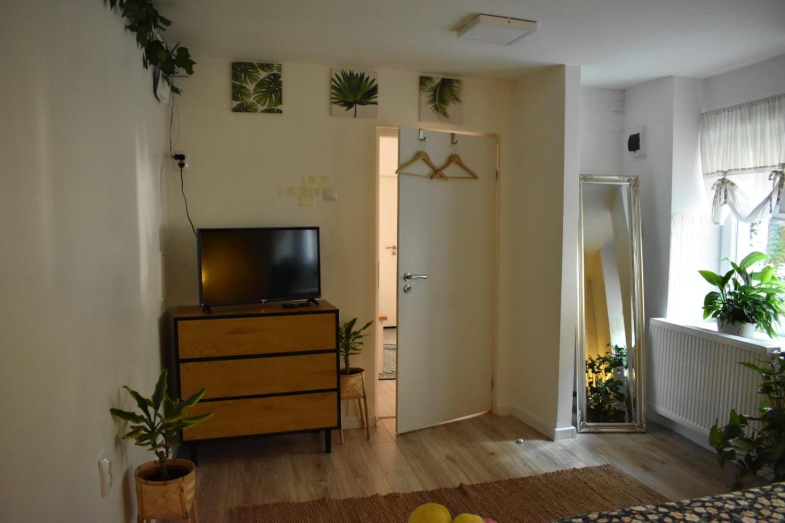 קלוז'-נאפוקה Anna'S Guesthouse מראה חיצוני תמונה