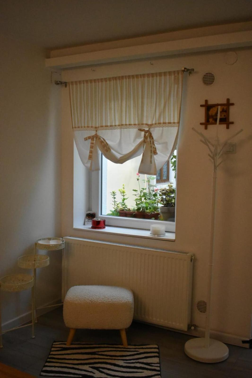 קלוז'-נאפוקה Anna'S Guesthouse מראה חיצוני תמונה